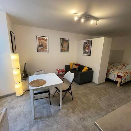 Studio Rdc Parking Prive Gratuit Doué-la-Fontaine Εξωτερικό φωτογραφία